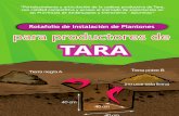 ASOCIACION BENEFICA PRISMA Tara Apurimac Rotafolio de Instalacion de Plantones