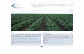 Los Beneficios Sociales y Ambient Ales de La Agricultura Biotecnologica en Brasil 1996 2009