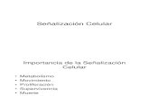 Presentacion-11-Sealizacin Celular