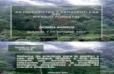 Antecedentes y Perspectiva Del Manejo Forestal Vzla. Barrios, D. Asoinbosques