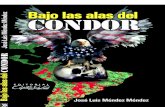 Bajo Las Alas Del Condor. José Luís Méndez Méndez