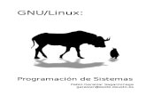 programacion gnulinux