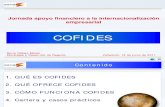 Presentación de COFIDES programa de apoyo a la internacionalización