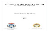 PERITO JUDICIAL, HAY FUNCIÓN PUBLICA