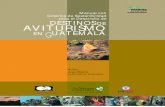 AVITURISMO EN GUATEMALA