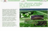 Abonos Verdes - Clave en La Produccion Agricola 2004