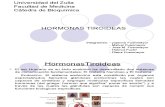 Medicina - Fisiologia Hormonas Tiroideas
