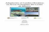 Adaptación al Cambio Climático en Áreas Protegidas del Caribe de México
