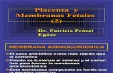 16 Placenta y Membranas Fetales (2)