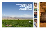 RSE - Reporte de Sustentabilidad de Codelco 2009