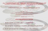 Proyecto de procesamiento (de papas nativas) (PowerPoint)