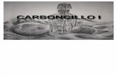 CARBONCILLO I