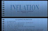 Inflation Presentation Mnp