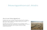Navigation Presentation