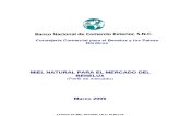 Estudio de Mercado de Miel-  BENELUX 2006