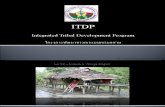 ITDP Presentation LAVP