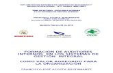 Auditorias Internas Diplomado NTC-OHSAS 18001 Versión 2007( Modulo 4 )