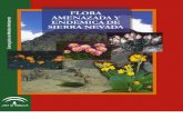 Flora Amenazada y Endémica de Sierra Nevada, 2001