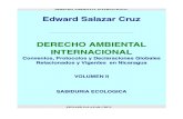 Edward Salazar Cruz. Derecho Ambiental Internacional Volumen II