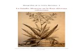 MB 06. La familia Aloaceae en la flora alóctona valenciana