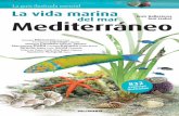 La vida marina del mar Mediterráneo