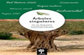 Cuaderno 2 enArbolar: árboles singulares de la España mediterránea