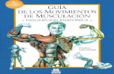 Guia de los movimientos de musculacion (descripcion anatomica)