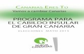 Programa electoral al cigc 2015
