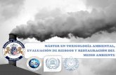 Máster en Toxicología Ambiental, Evaluación de Riesgos y Restauración del Medio Ambiente.