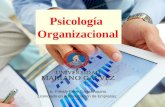 Revista Psicología Organizacional