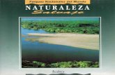 Naturaleza salvaje folleto presentacion folio 1993