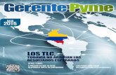 Revista Gerente Pyme ediciÓn Julio 2015