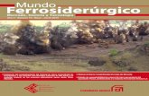 Revista Mundo Ferrosiderúrgico No 19