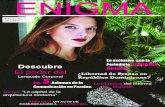 Revista Enigma 2015