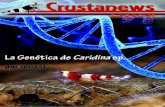 Crustanews Especial Nº2: Géntica de Caridina sp