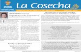 agosto 2015 La Cosecha
