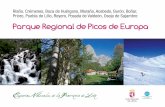 Parque Regional de Picos de Europa