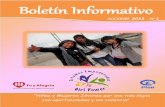 Boletín Informativo – Acciones 2012 Nro 1