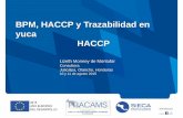 Resumen haccp en yuca en pdf