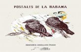 Postales de la Habana | Amaranta Caballero
