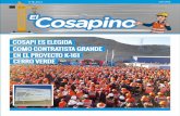 Periódico El Cosapino N°13