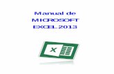 Manual excel2013 (1)