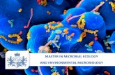 Máster en Ecología Microbiana y Microbiología Ambiental