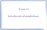 Tema 12 -Introducción al metabolismo