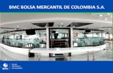 Mercado Voluntario de Carbono: Mecanismo de transacción para Colombia