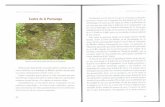 Sobre os castros de Ribadeo pdf2