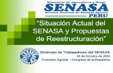 Situación actual del SENASA y propuesta de su reestructuración