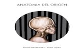 Anatomía del Origen