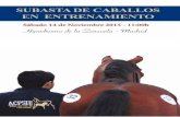 Catálogo Subasta de caballos en entrenamiento 2.015  (ACPSIE)