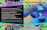 Virgen guadalupe - México